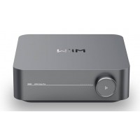 Wiim AMP PRO Network Stereo Amplifikatör 